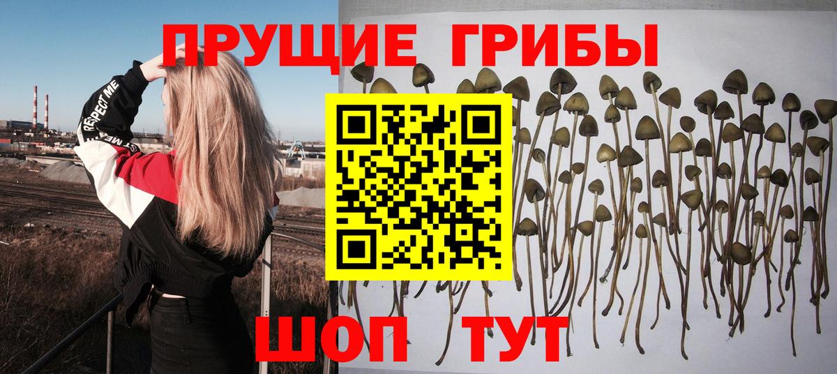 Псилоцибиновые грибы MAGIC MUSHROOMS Сарапул
