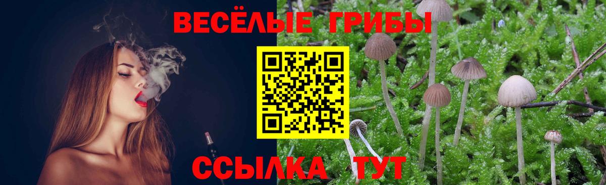 Галлюциногенные грибы Psilocybe  Вход с VPN  наркота  Галлюциногенные грибы Cubensis  Сарапул 